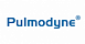 Pulmodyne Inc